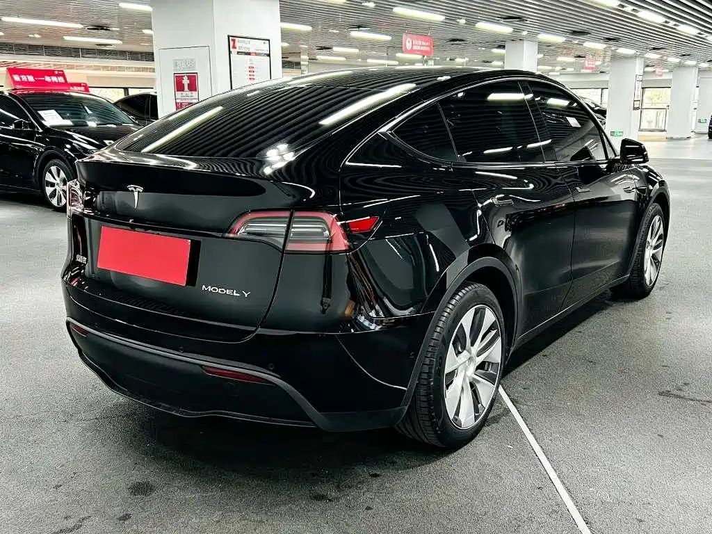 Tesla Model Y — миниатюра 7