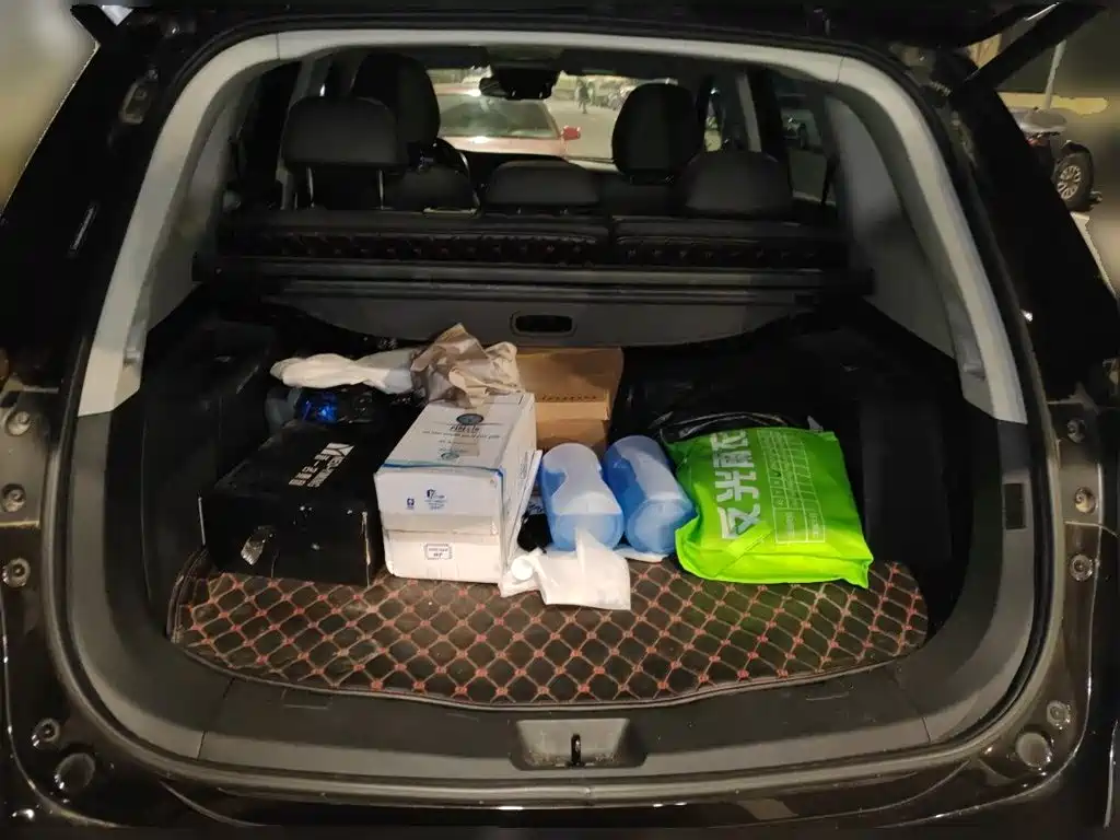Borgward BX7 — миниатюра 15
