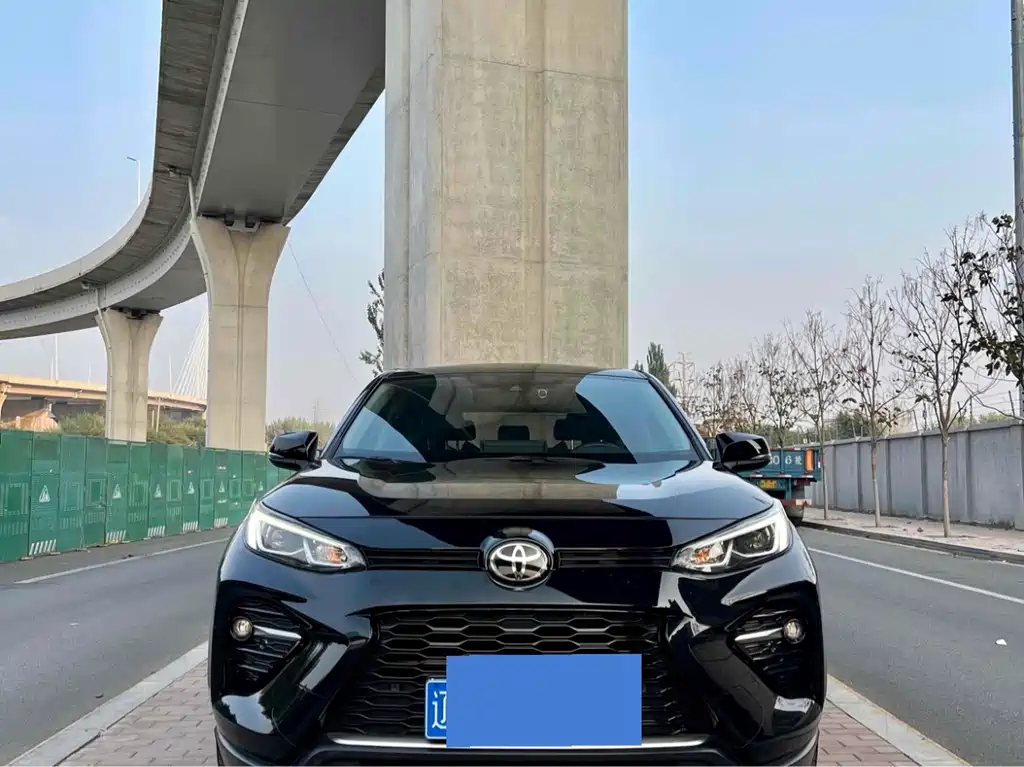 Toyota Wildlander 2020