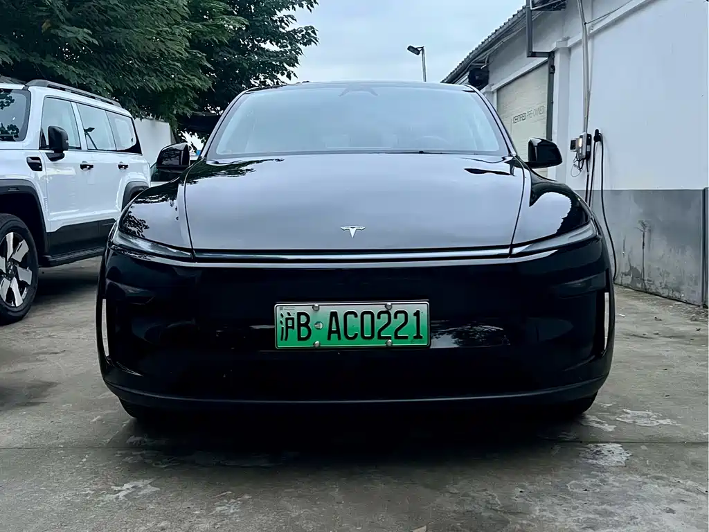 Tesla Model Y — миниатюра 2
