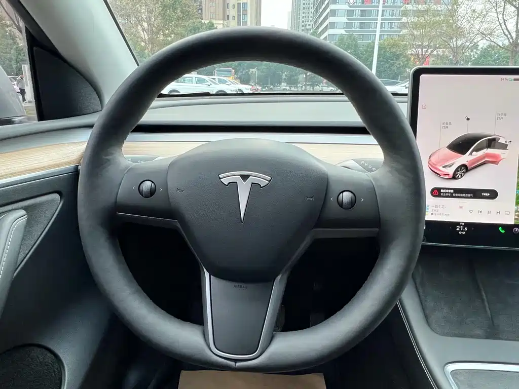 Tesla Model Y — миниатюра 12