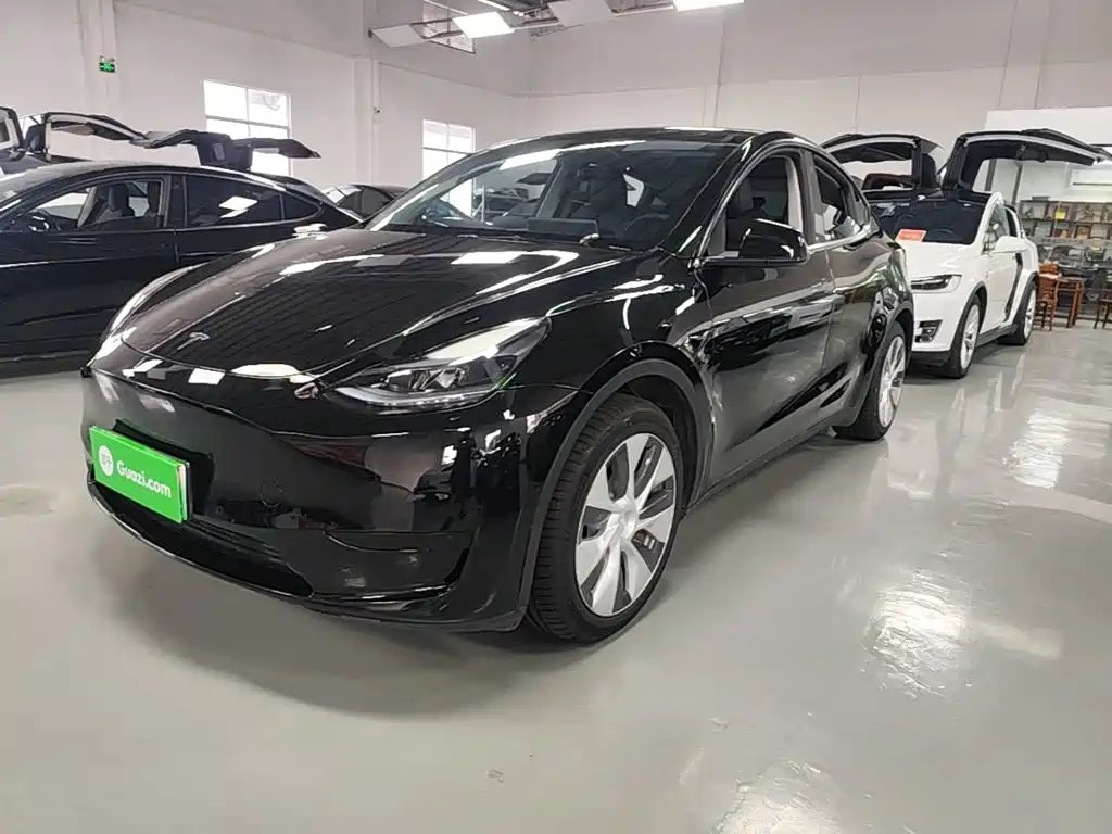 Tesla Model Y — миниатюра 2