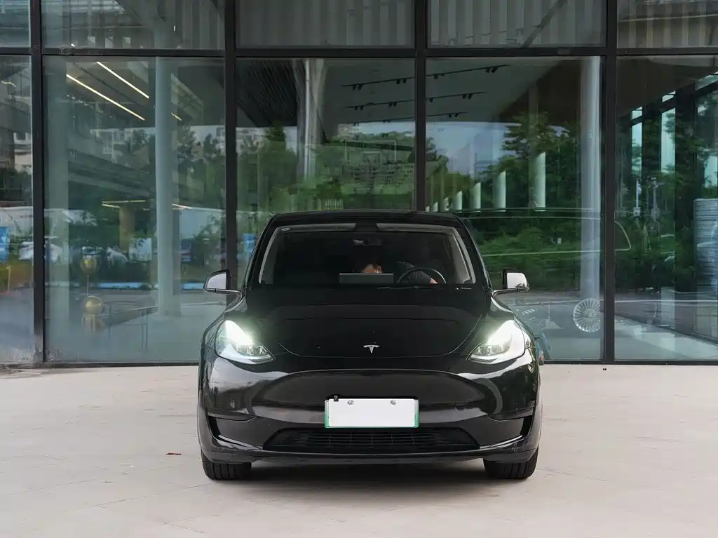 Tesla Model Y — миниатюра 2