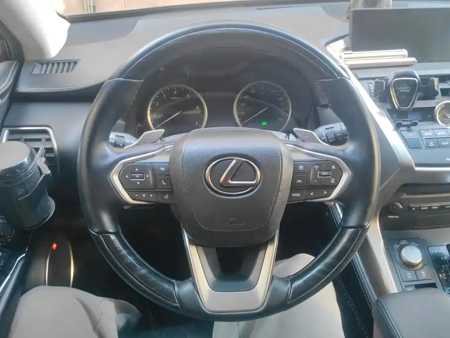 Lexus NX — миниатюра 15