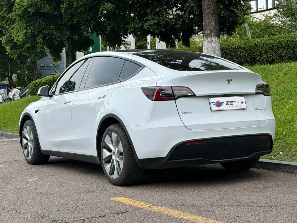 Tesla Model Y — миниатюра 4