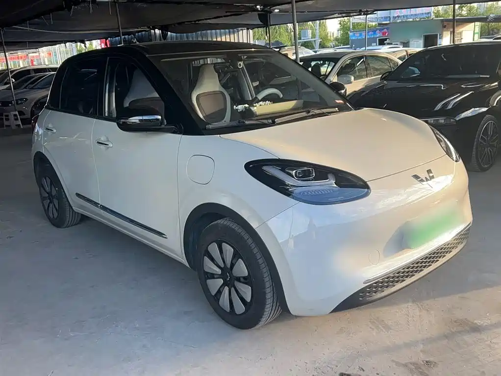 Wuling Binguo 2024 333km