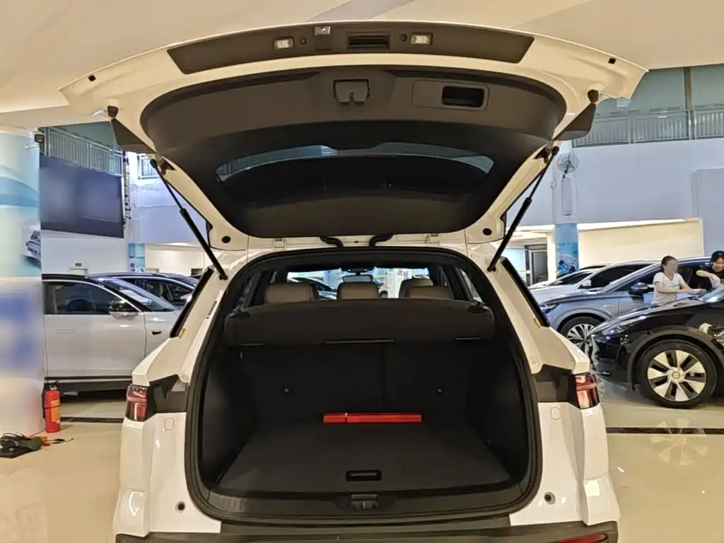 BYD Pro New Energy — миниатюра 19