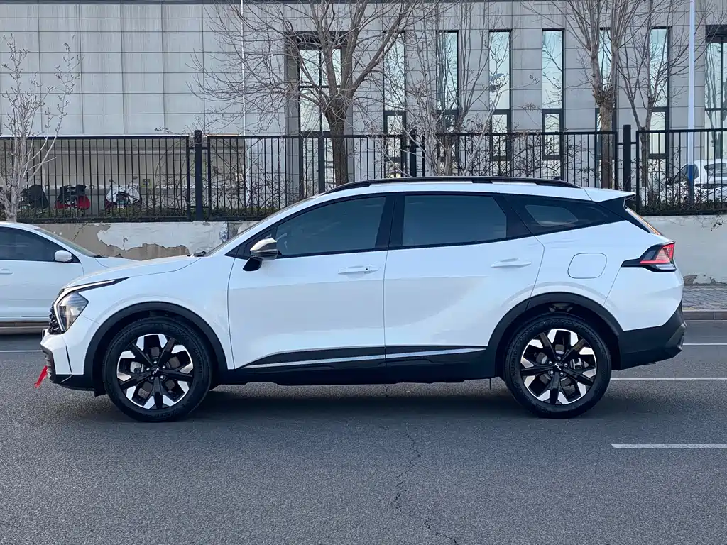 KIA LION PLATINUM EXPANDS THE WORLD