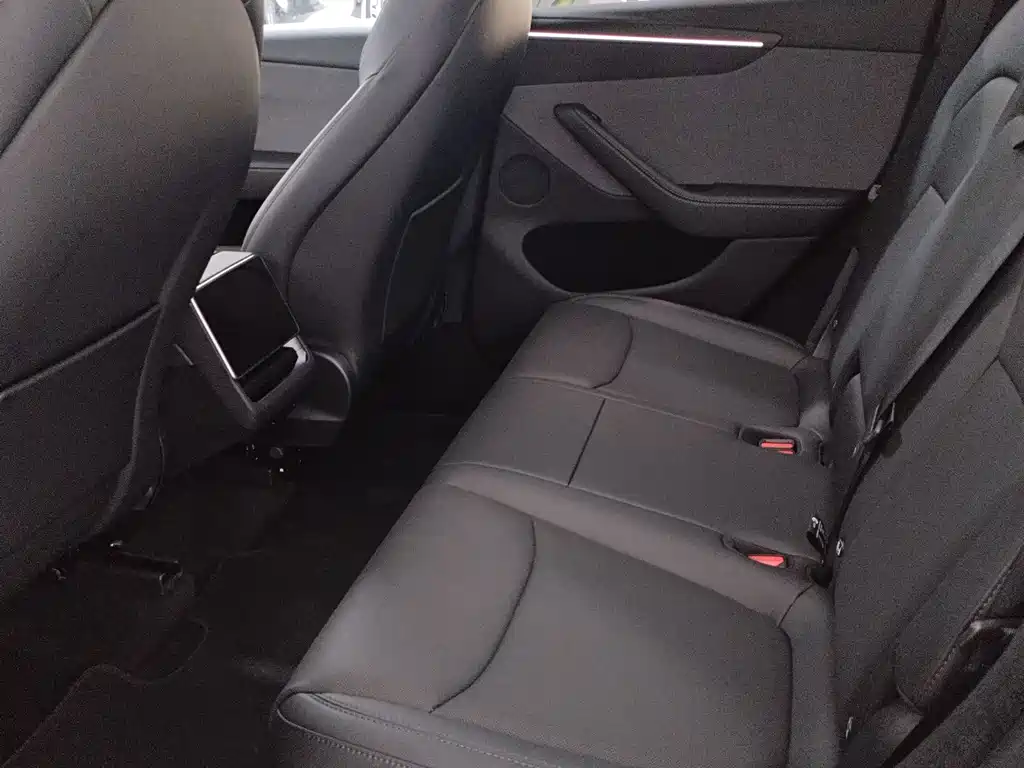 Tesla Model Y — миниатюра 6