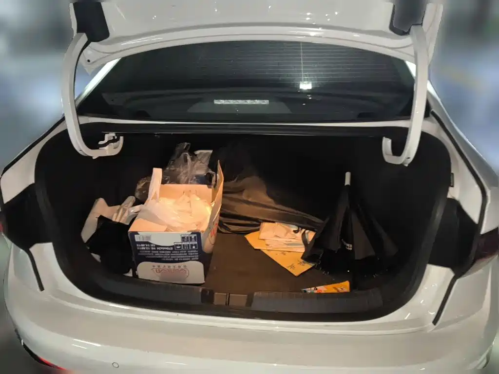 Volkswagen Sagitar — миниатюра 10