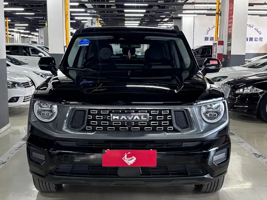 Haval Haval Big Dog PLUS — миниатюра 2