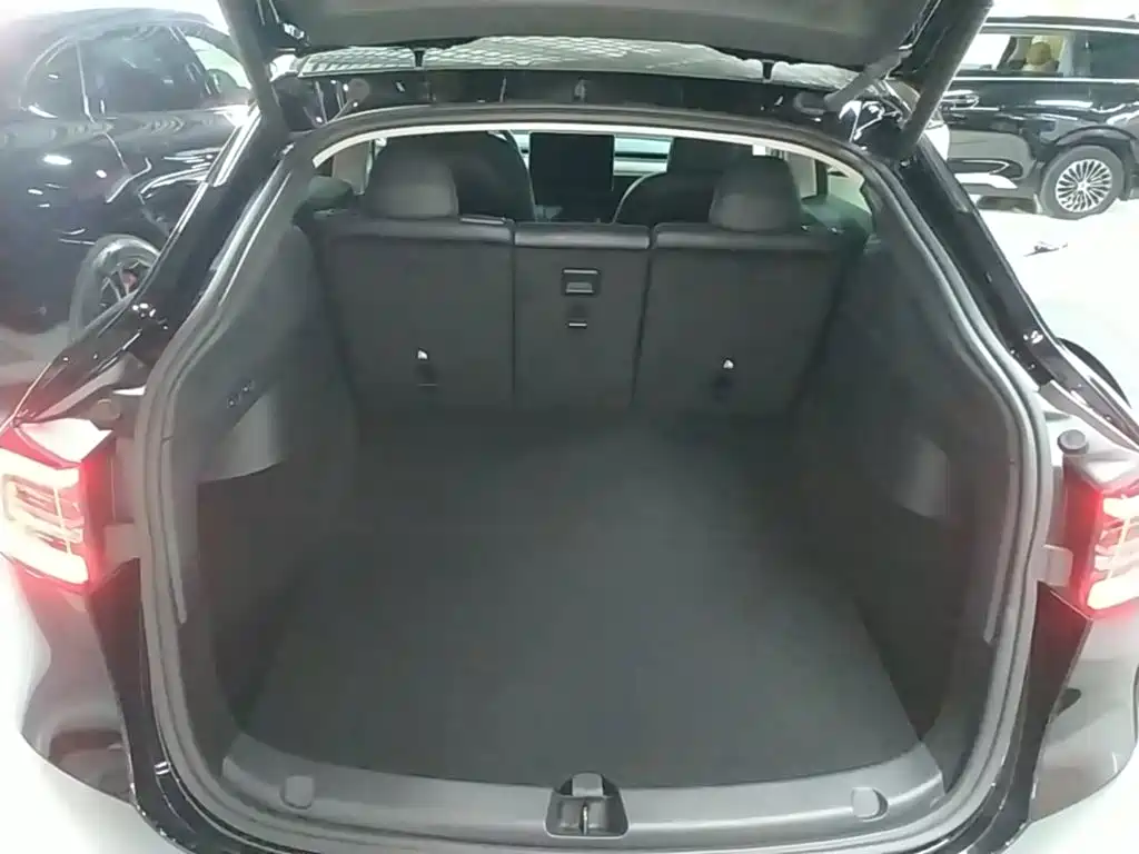 Tesla Model Y — миниатюра 19
