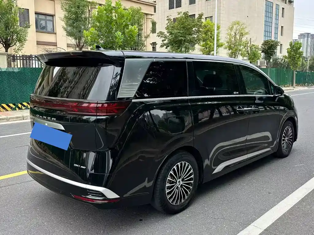 Denza Denza D9 — миниатюра 9