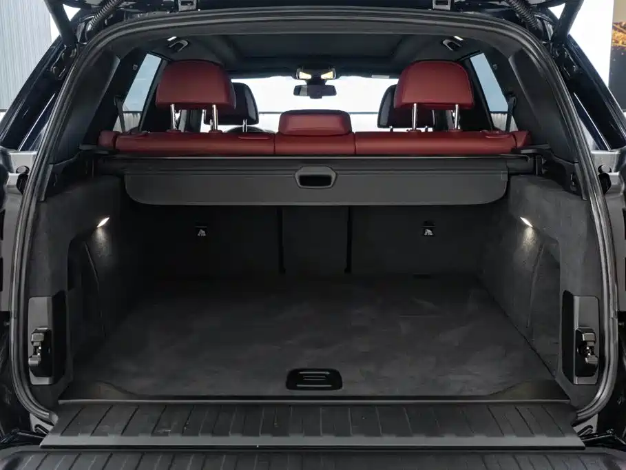 BMW X5 — миниатюра 12
