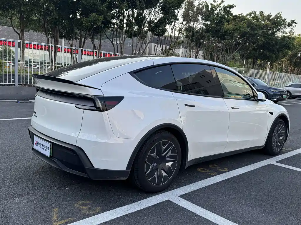 Tesla Model Y L — миниатюра 8