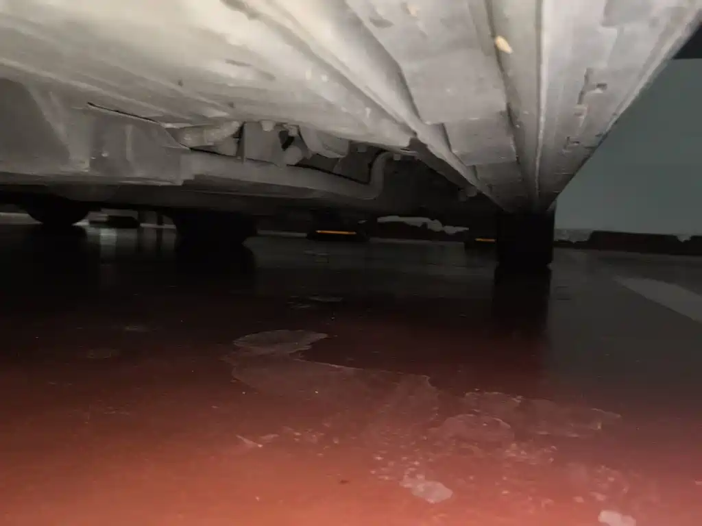 Toyota Alphard — миниатюра 19