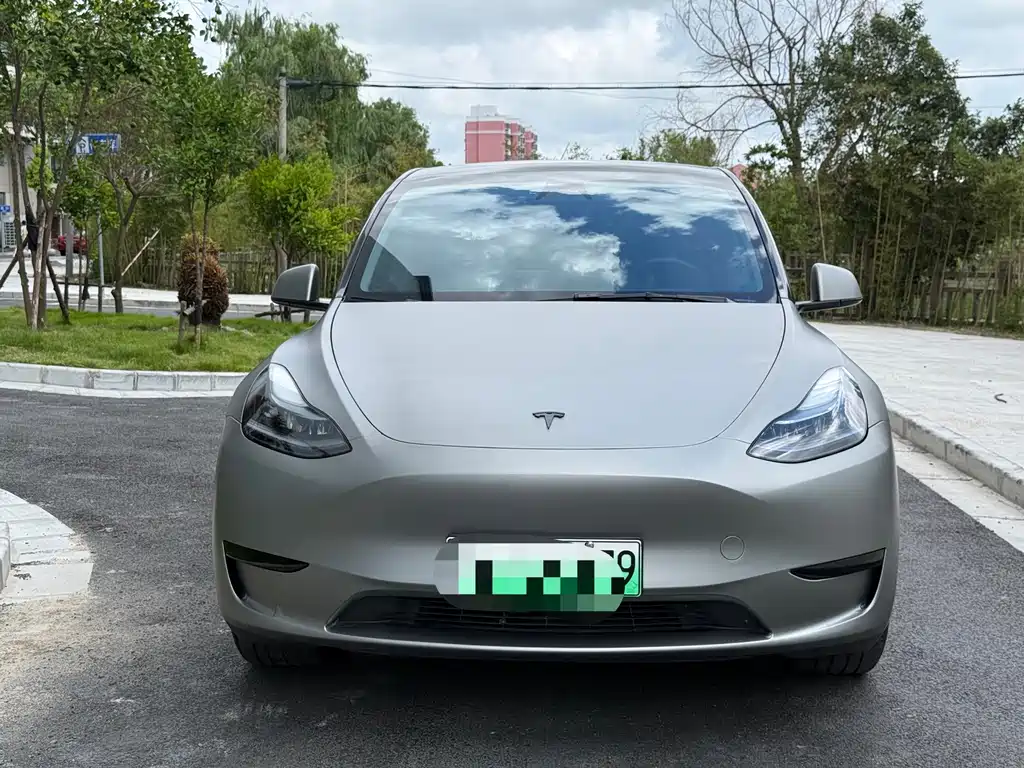Tesla Model Y — миниатюра 2