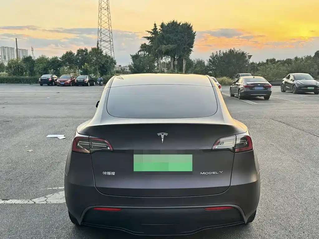 Tesla Model Y — миниатюра 6