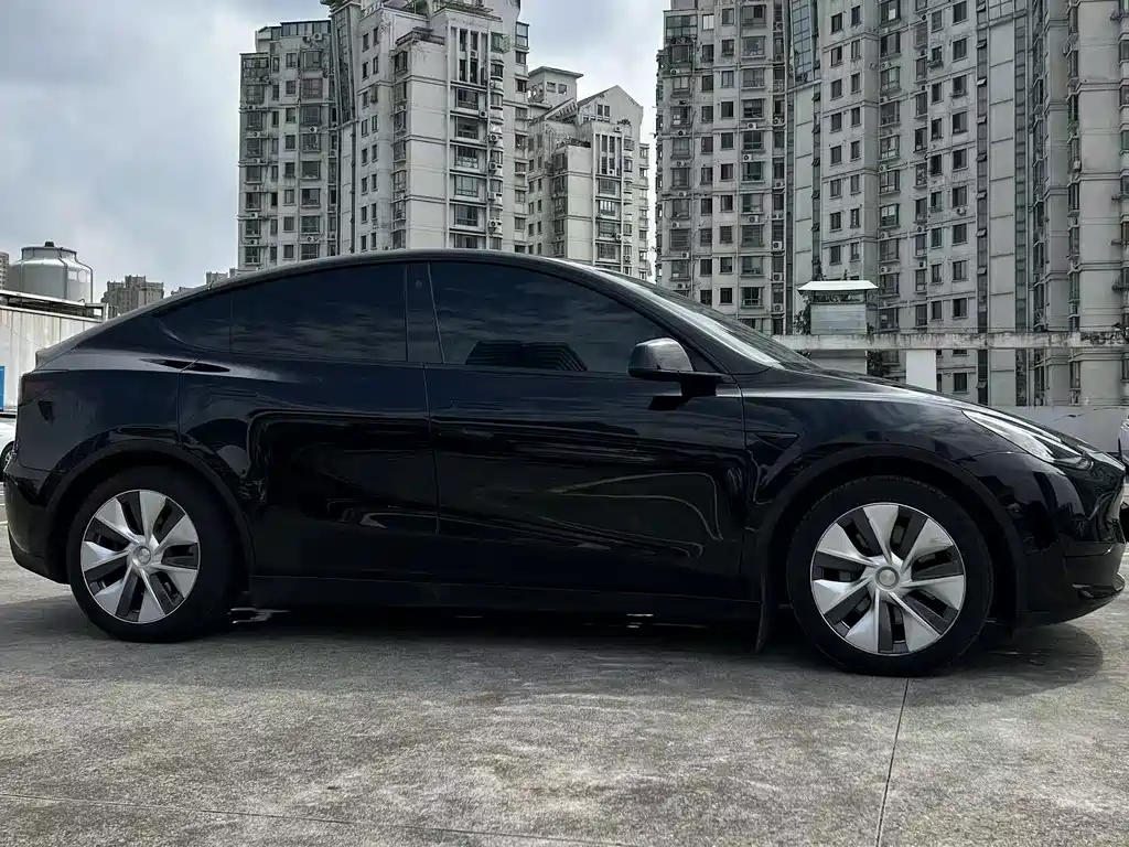 Tesla Model Y — миниатюра 12