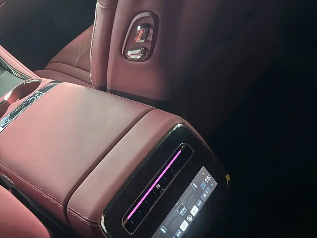 Denza Denza Z9GT — миниатюра 13