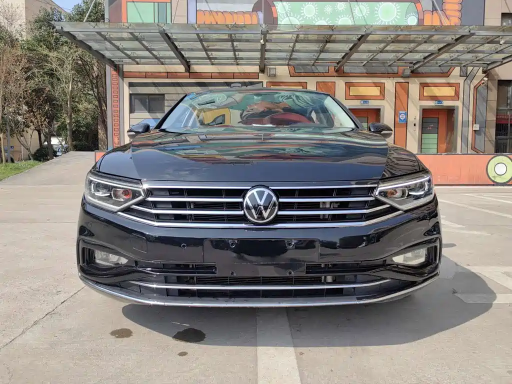Volkswagen Magotan — миниатюра 2