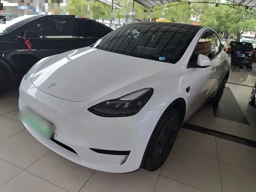 Tesla Model Y — миниатюра 2