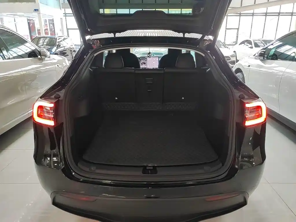 Tesla Model Y — миниатюра 19