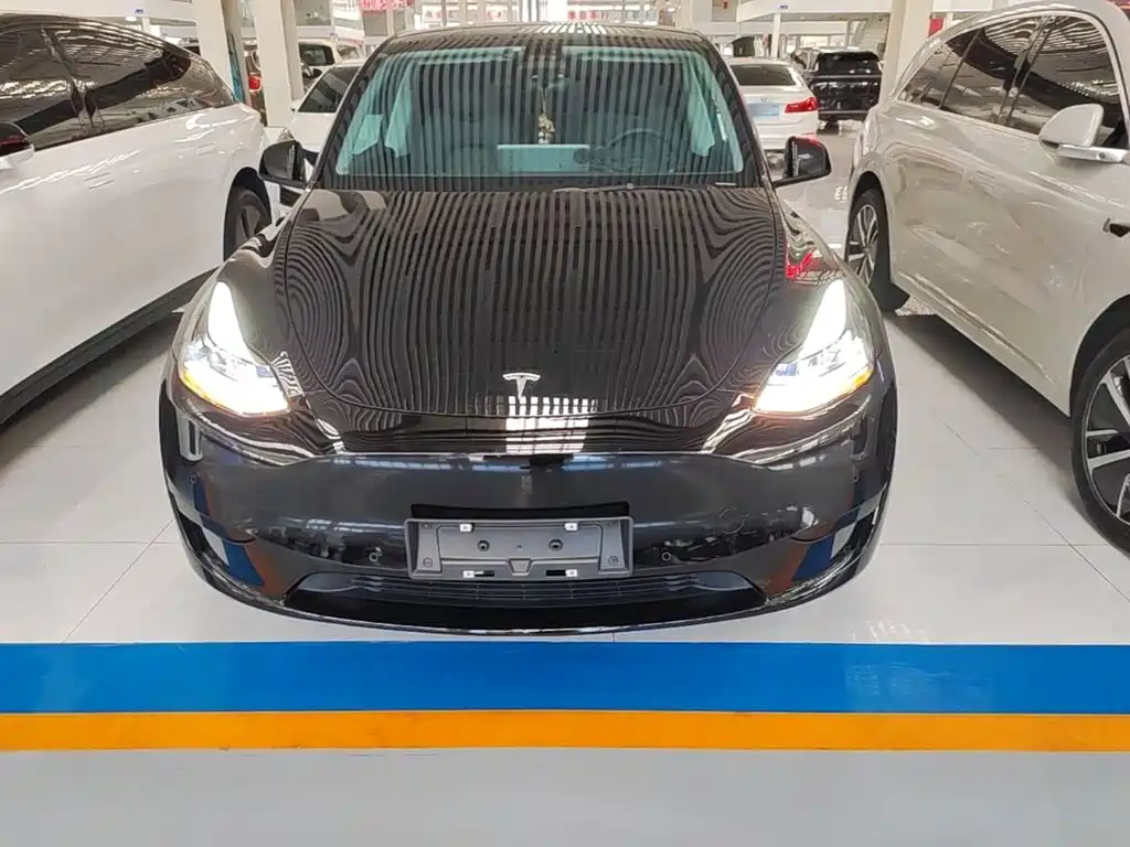 Tesla Model Y — миниатюра 3