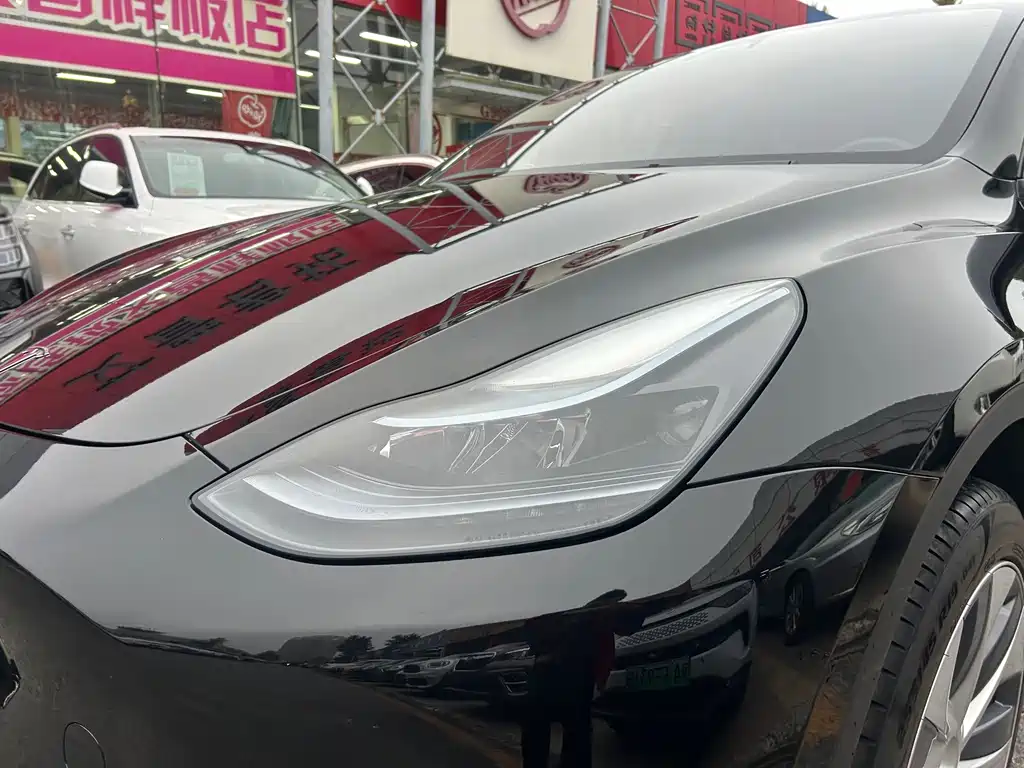 Tesla Model Y — миниатюра 5