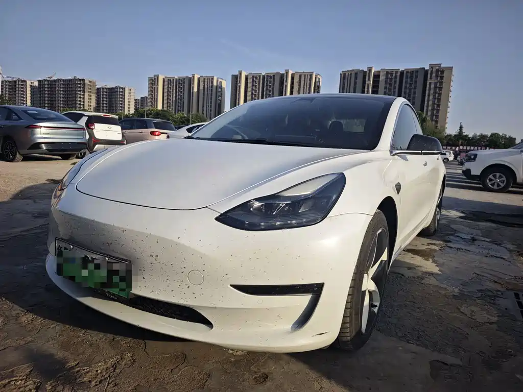 Tesla Model 3 2020