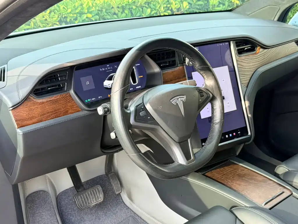 Tesla Model X — миниатюра 12