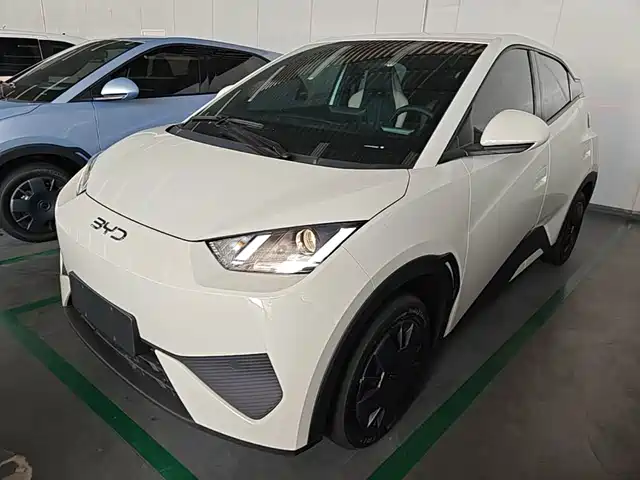 2026 BYD Seagull