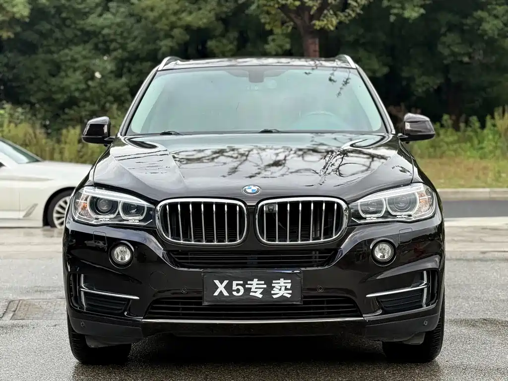 BMW X5 (Import) — миниатюра 2