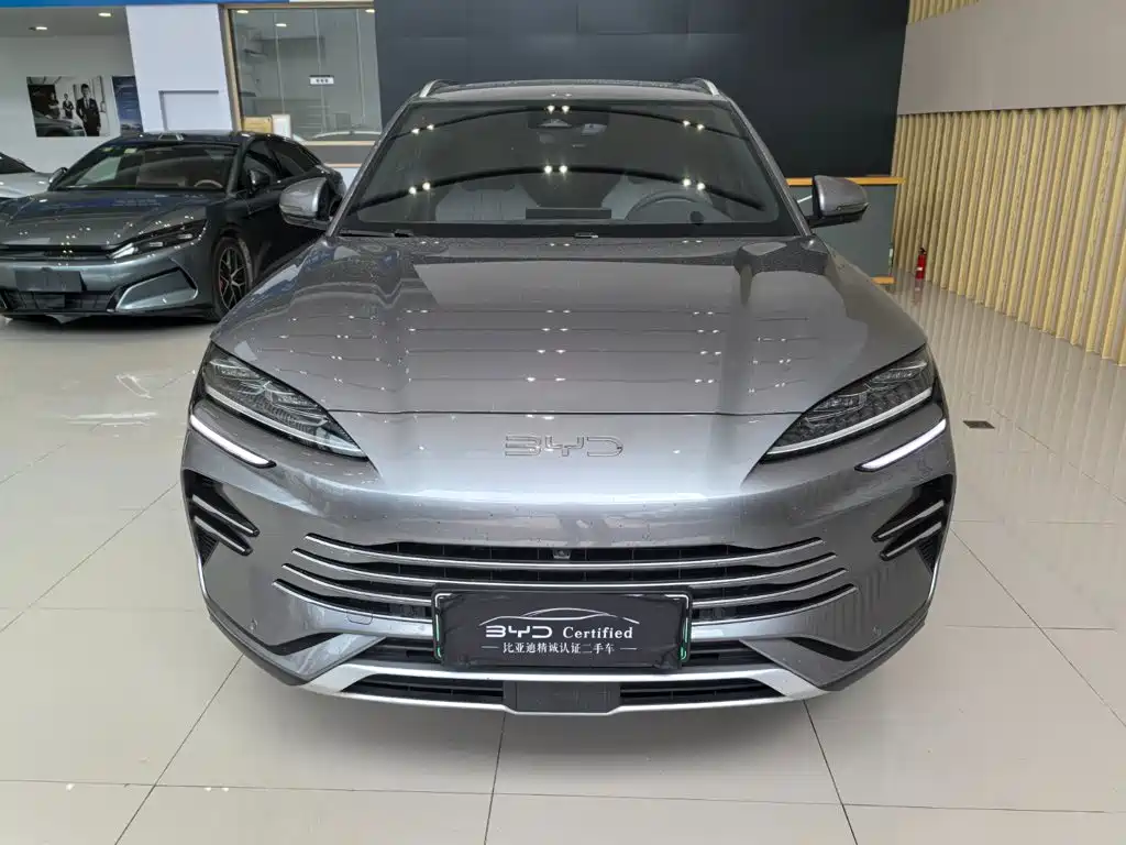 BYD PLUS New Energy — миниатюра 2