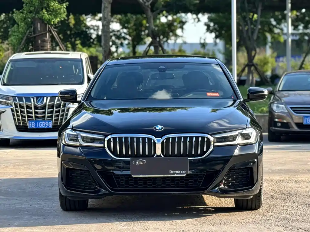 BMW 5 Series — миниатюра 2