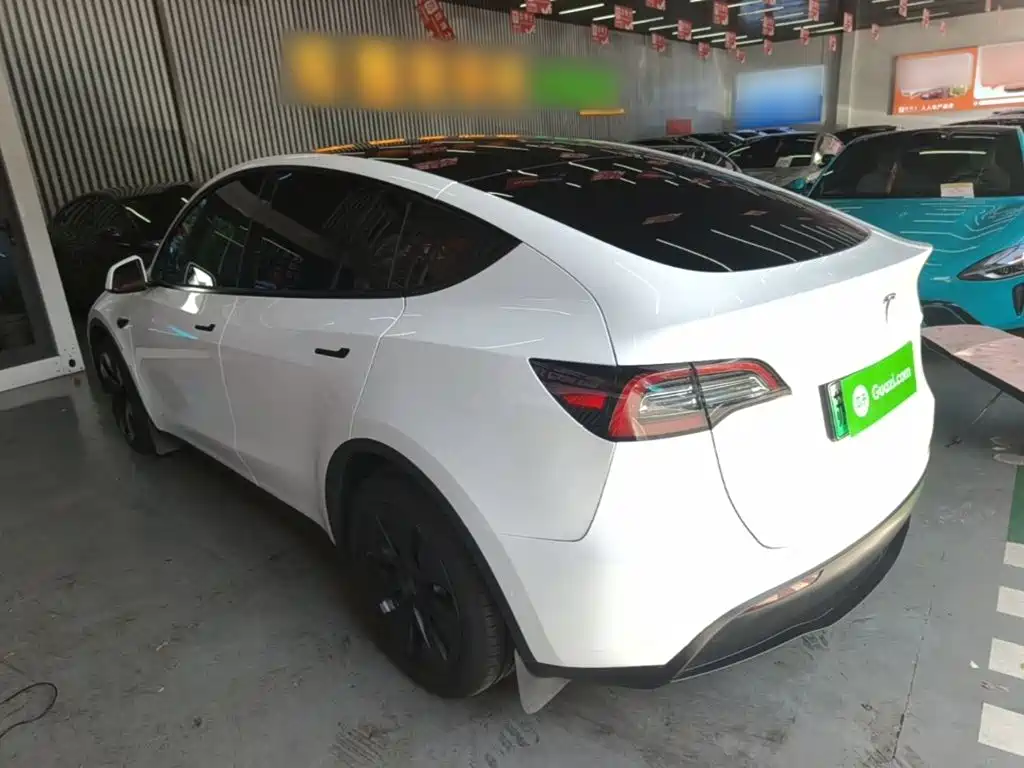 Tesla Model Y — миниатюра 5