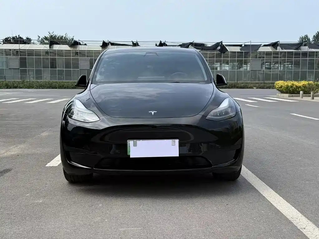 Tesla Model Y — миниатюра 2