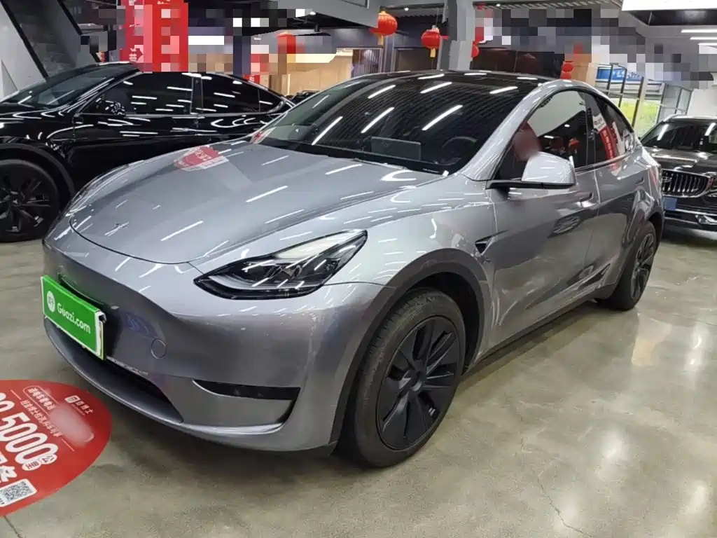 Tesla Model Y — миниатюра 2
