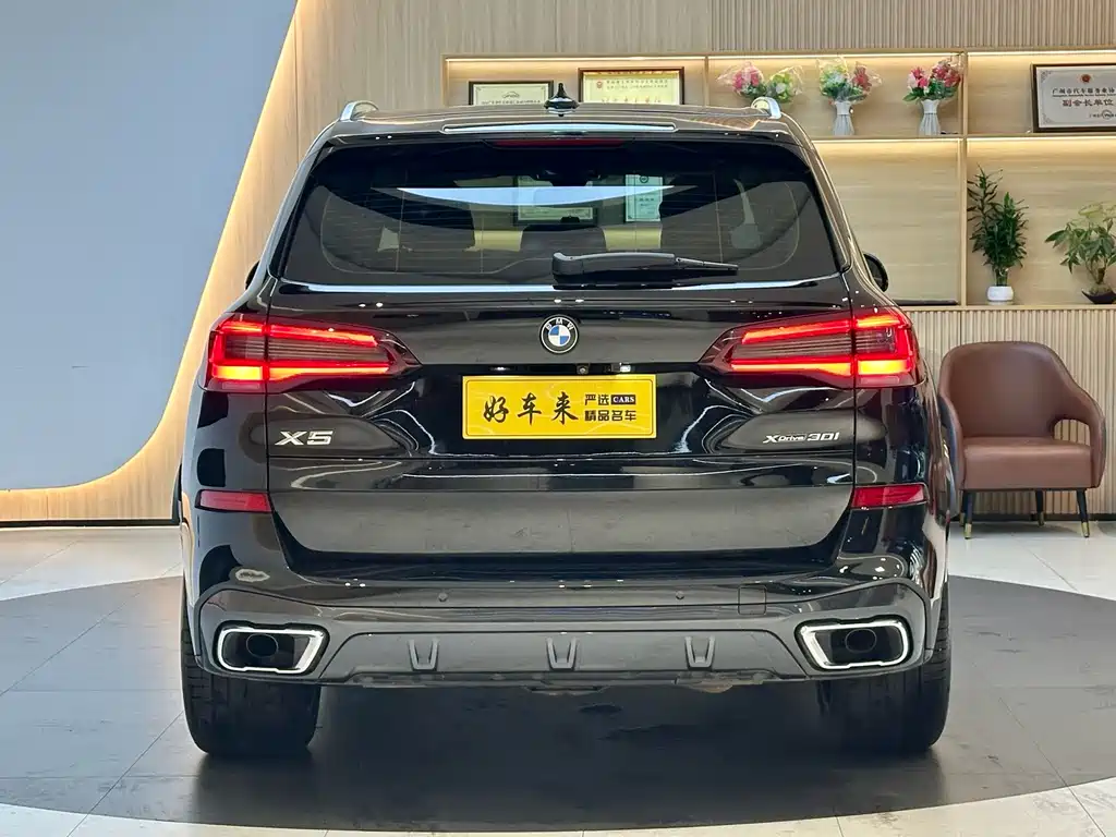 BMW X5 (Import) — миниатюра 3