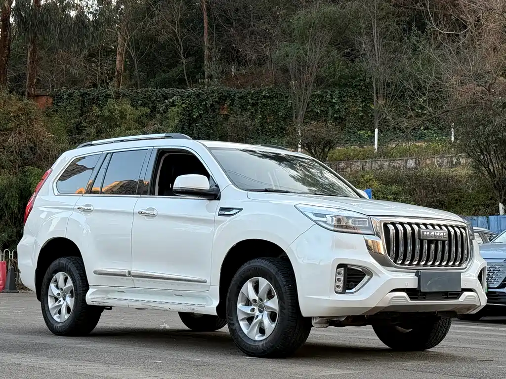 HAVAL H9