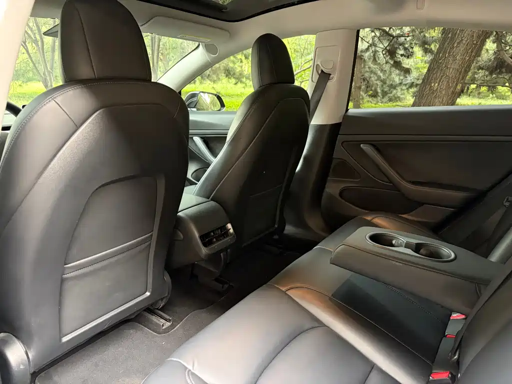 Tesla Model 3 — миниатюра 14