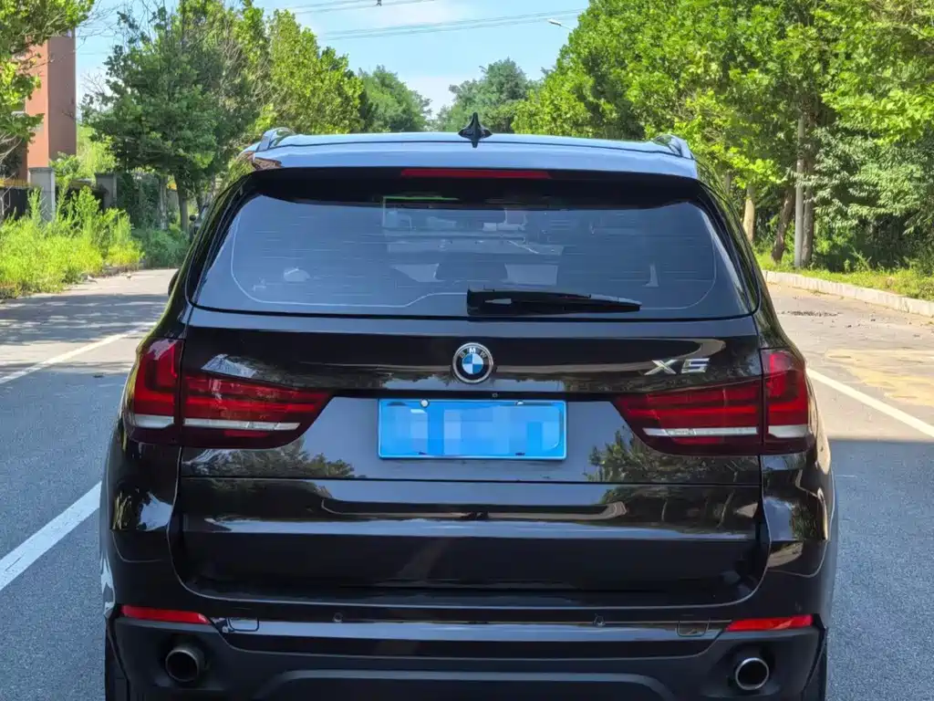 BMW X5 (Import) — миниатюра 5