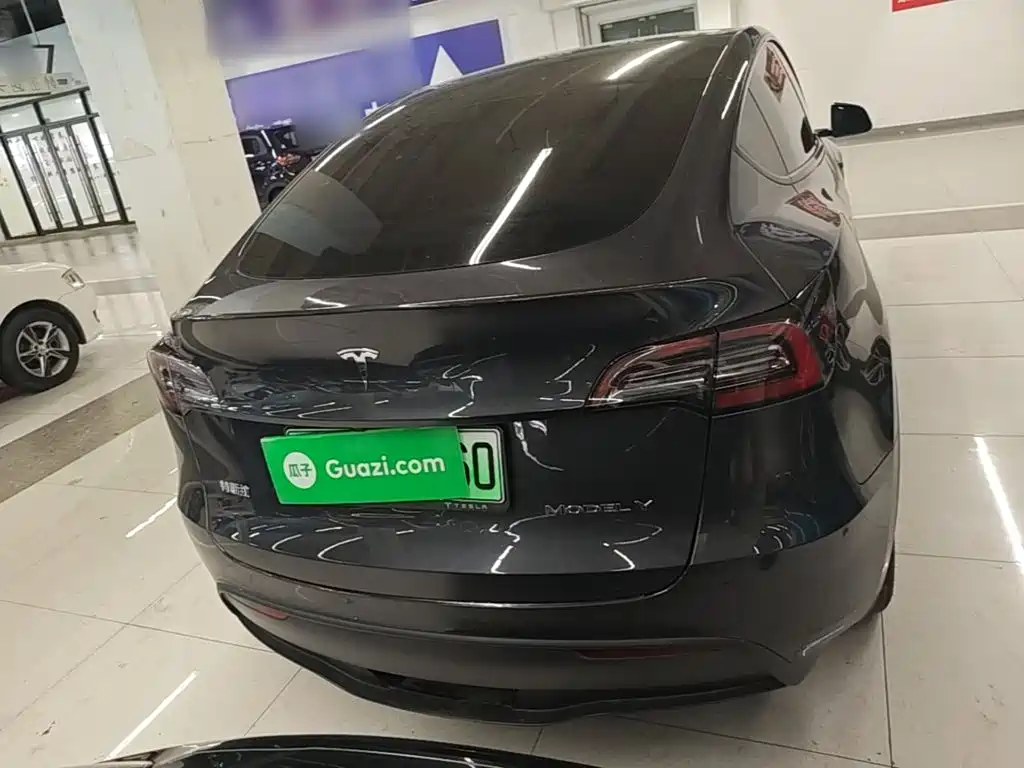 Tesla Model Y — миниатюра 6