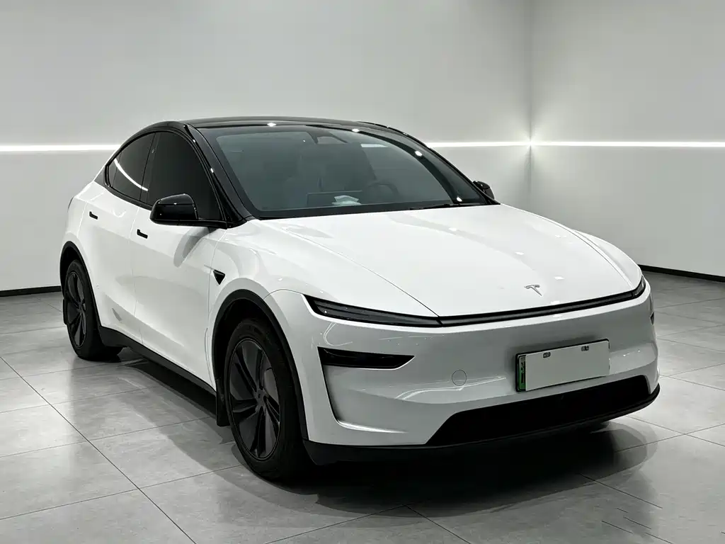 Tesla Model Y — миниатюра 3