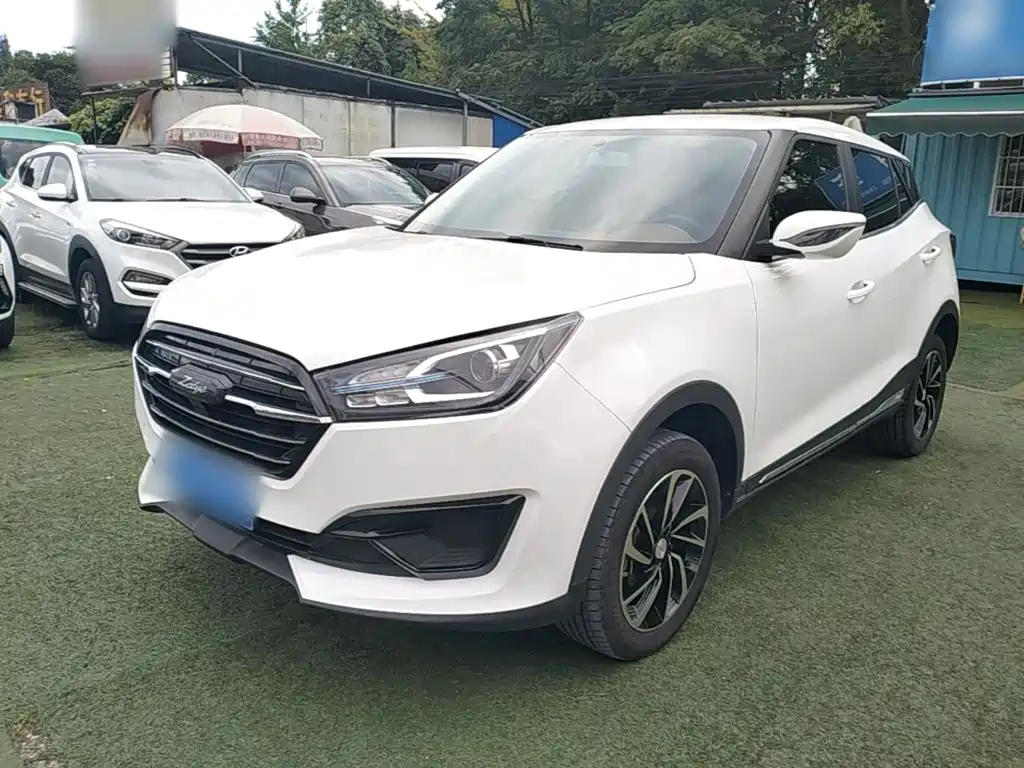 Zotye Zotye T300
