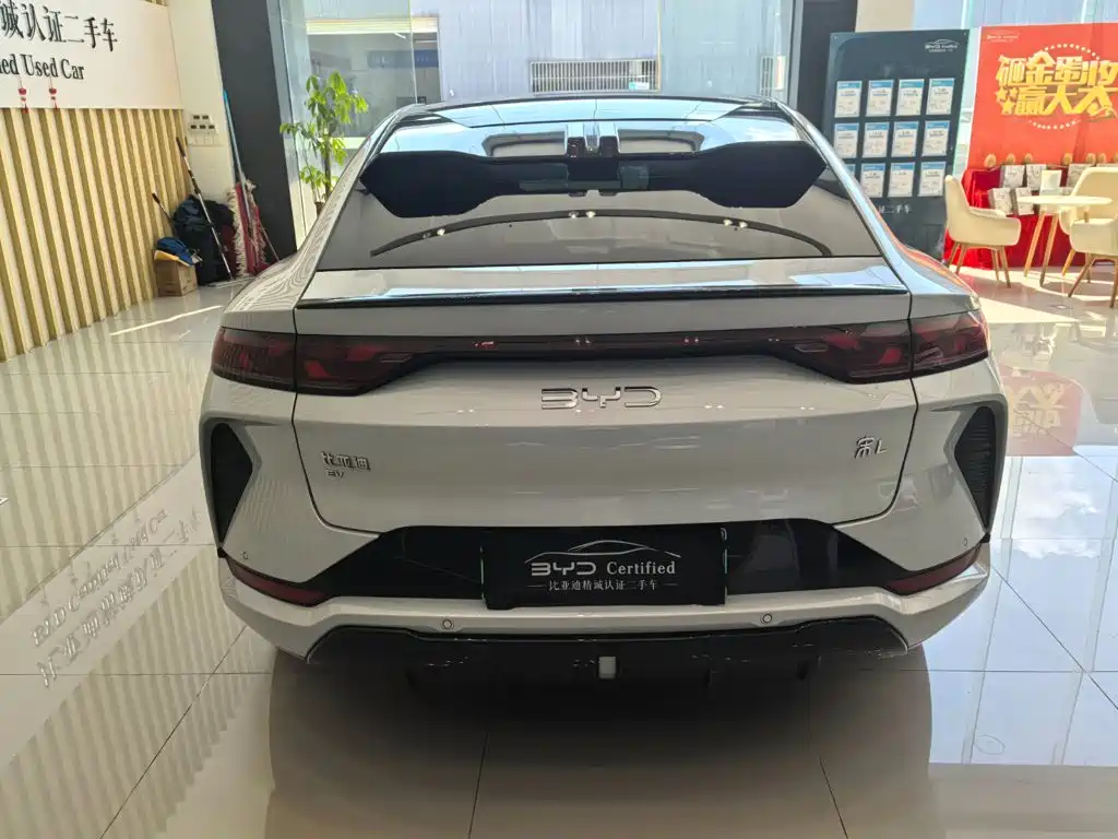 BYD L EV — миниатюра 5