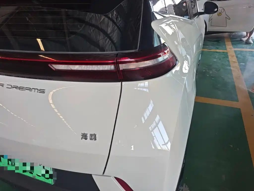 BYD Seagull 2024 305km