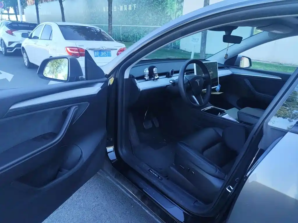Tesla Model Y — миниатюра 17