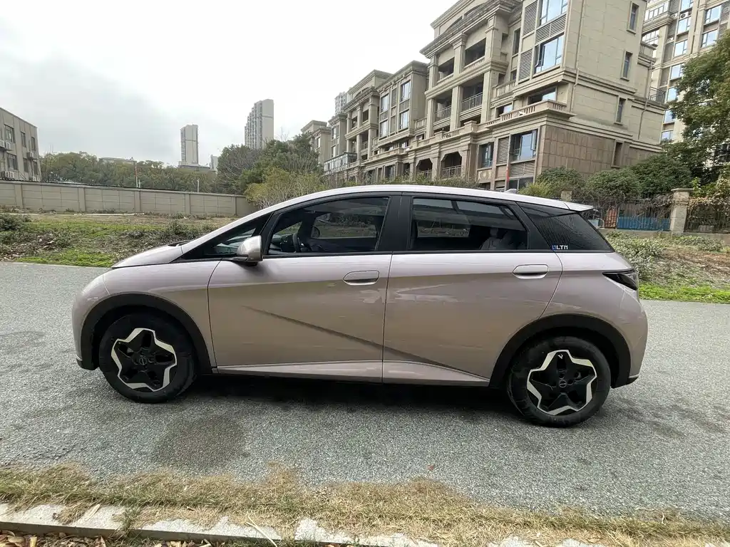 BYD DOLPHIN