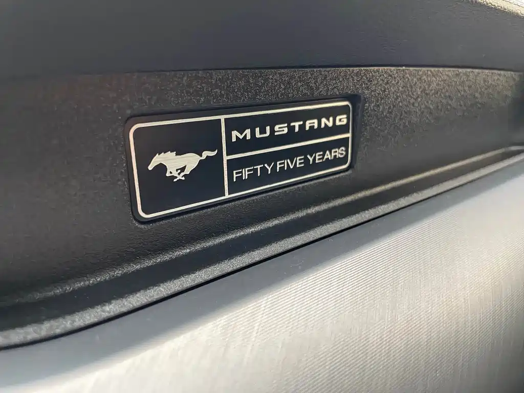Ford Mustang — миниатюра 16